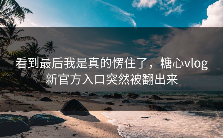 看到最后我是真的愣住了，糖心vlog新官方入口突然被翻出来