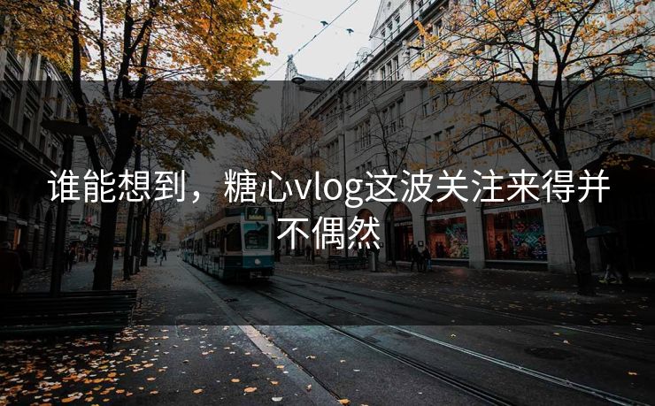 谁能想到，糖心vlog这波关注来得并不偶然
