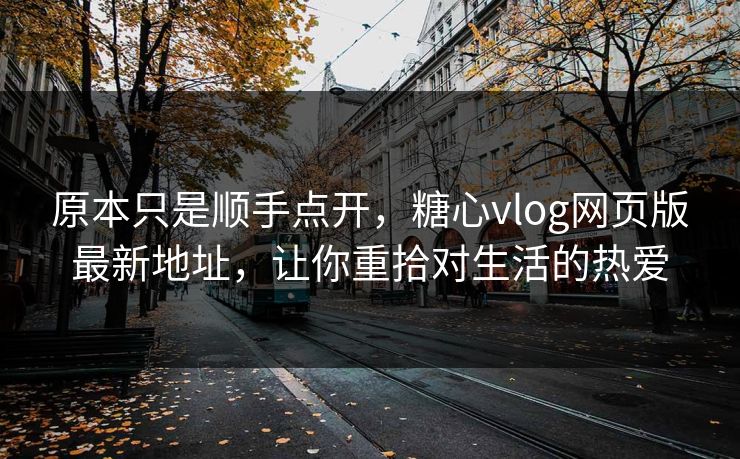 原本只是顺手点开，糖心vlog网页版最新地址，让你重拾对生活的热爱
