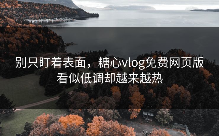 别只盯着表面，糖心vlog免费网页版看似低调却越来越热