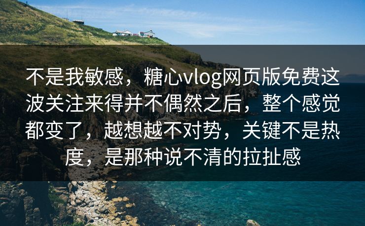 不是我敏感，糖心vlog网页版免费这波关注来得并不偶然之后，整个感觉都变了，越想越不对势，关键不是热度，是那种说不清的拉扯感