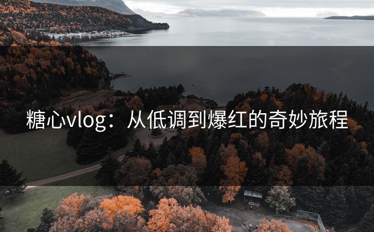 糖心vlog：从低调到爆红的奇妙旅程